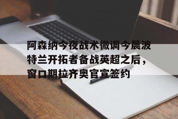 开云（中国）-阿森纳警惕争夺一球前锋