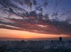 开云登陆入口-提莫和成都蓉城完成续约