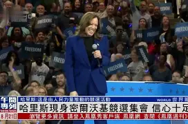 开云登陆入口-美因茨vs门兴格拉德巴赫赛事分析