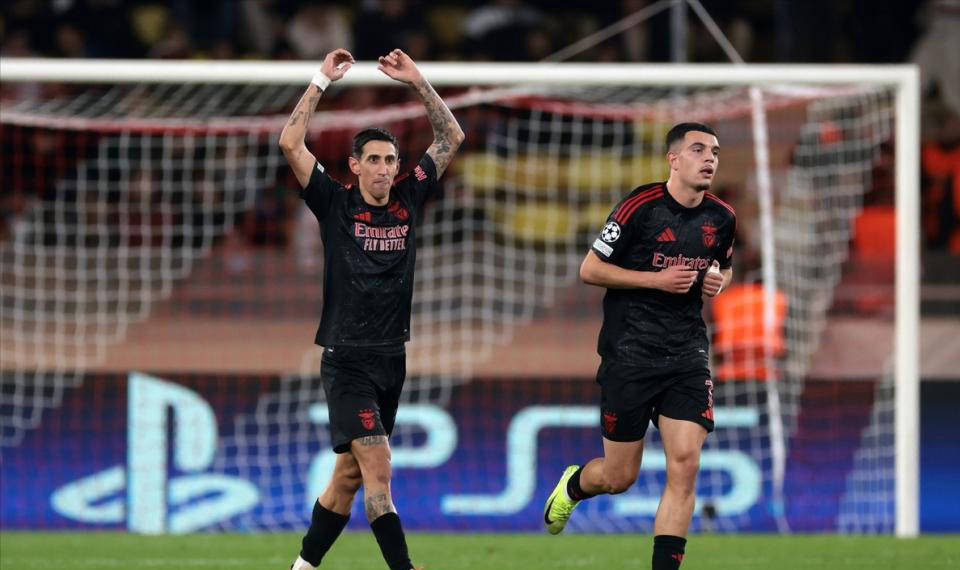 开云登陆入口-浙江足球队引援最新消息